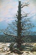 Caspar David Friedrich The Oak Tree in the Snow USA oil painting artist